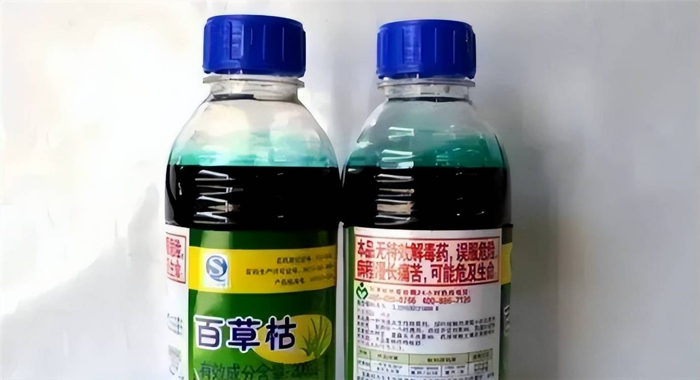 长期以来,百草枯不仅价格低廉而且在农业上应用广泛,所以一直深受农民