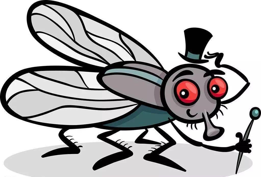 原创传奇无头鸡全美巡演18个月却死于意外主人对此非常后悔