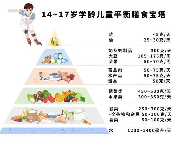 青少年平衡膳食宝塔图片