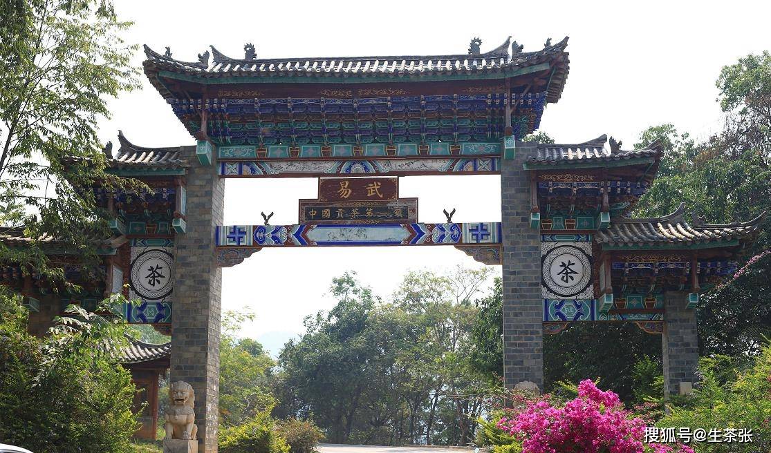 详解古6大茶山的茶树分布其普洱茶口感特点如何