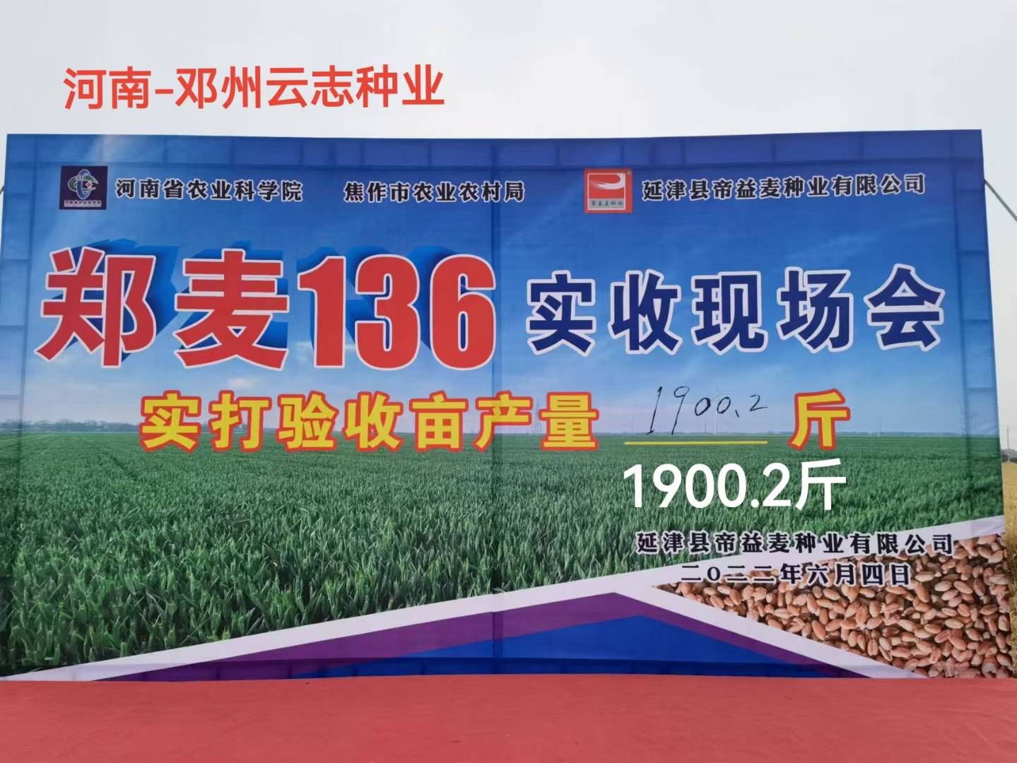 小麦实收现场会_实收_现场会_小麦