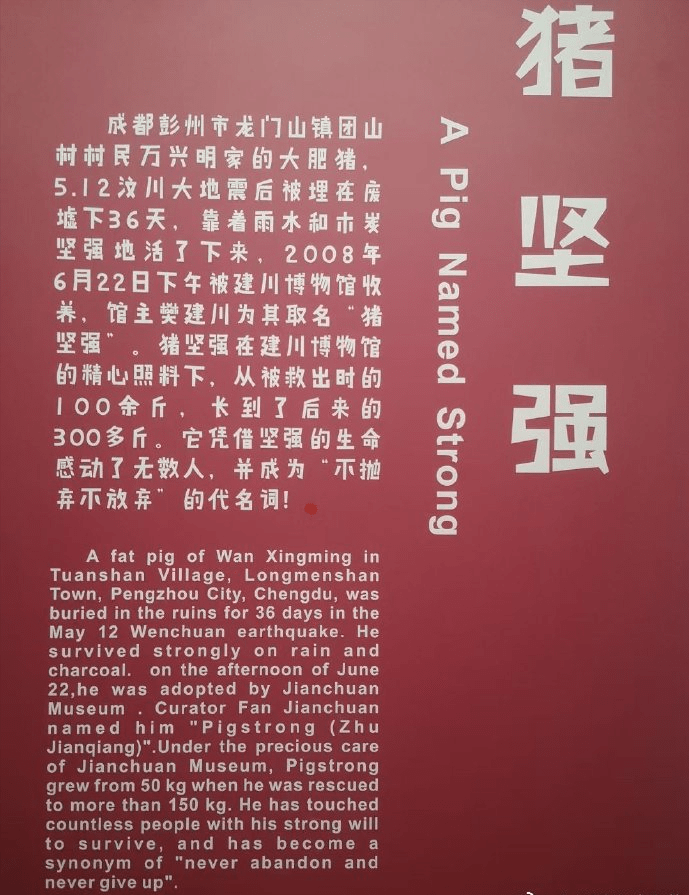 遗体被冰冻或将做标本,前主人遗憾不舍_建川博物馆_娱乐_心愿