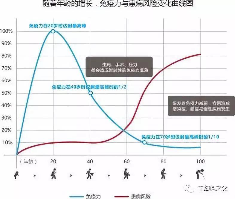 警惕免疫衰老,提高免疫抗衰老_人體_細胞_機體