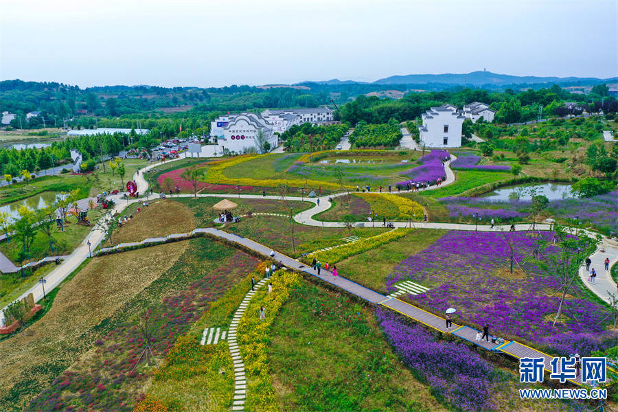 河南光山:美丽乡村醉游人_东岳村_发展_文殊乡