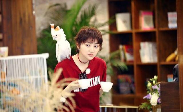 相比《亲爱的客栈》,青春旅社就是一个嘉宾浩大的综艺,除了王源,景甜