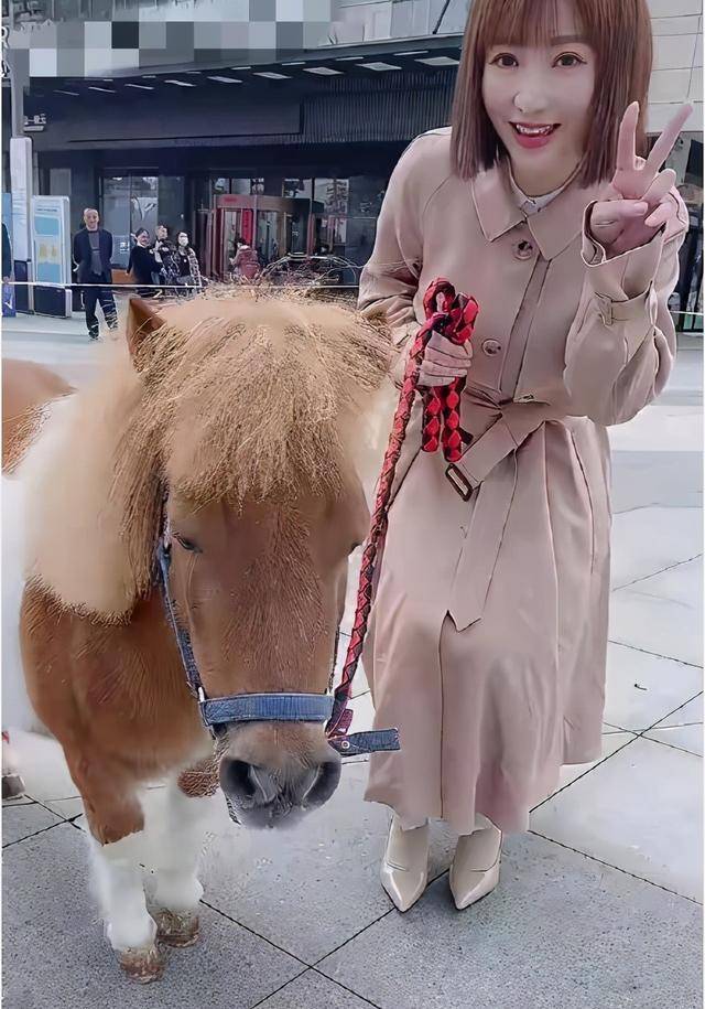 柳岩牵价值5万的矮脚马逛商场,风光无限成焦点,有钱人才买得起_生活