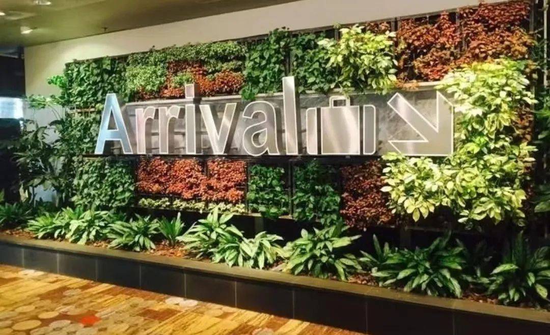 仿真绿植在办公室空间装饰中的应用