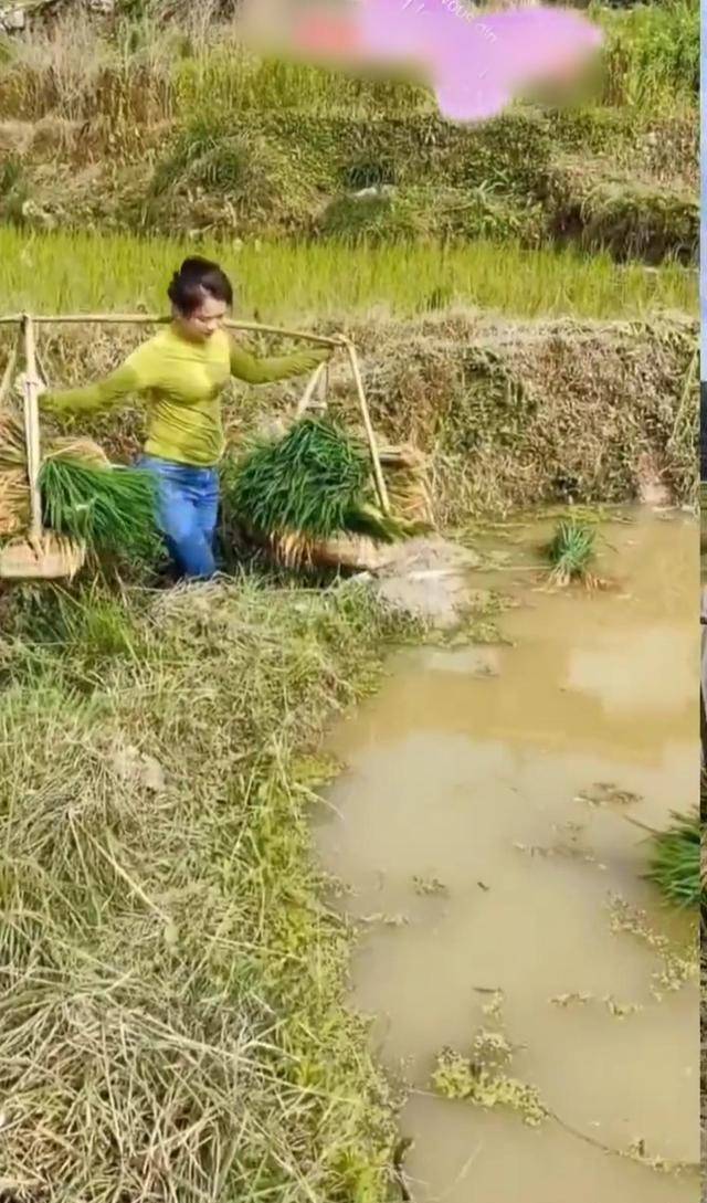原创丈夫外出务工农村留守妇女照顾老人孩子做农活知情者她太美