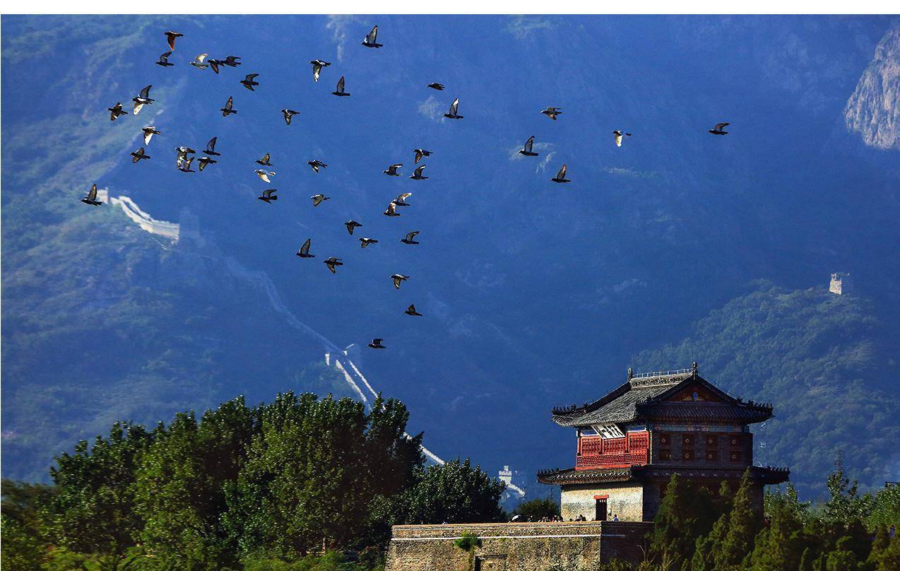 虽然在我军撤退后占领了山海关,却延误了他抢占东北22天!