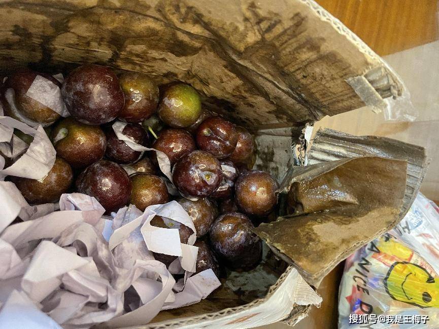 上海女子网上订购四川脆李子收到货打开后懵了网友太不靠谱