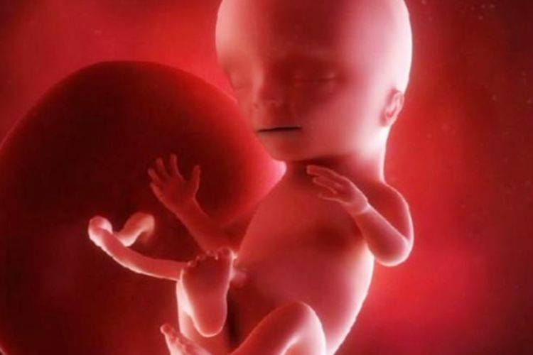 胎儿在妈妈的肚子里会感觉到孤独吗事实让人觉得有趣了解一下