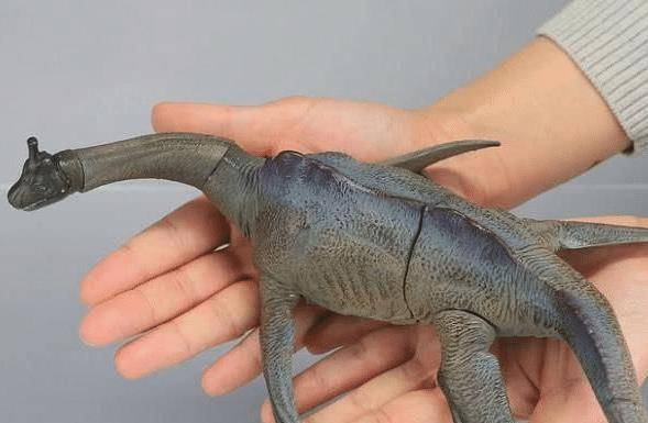 大家常说的水猴子到底是啥游泳时还会将人拉下去