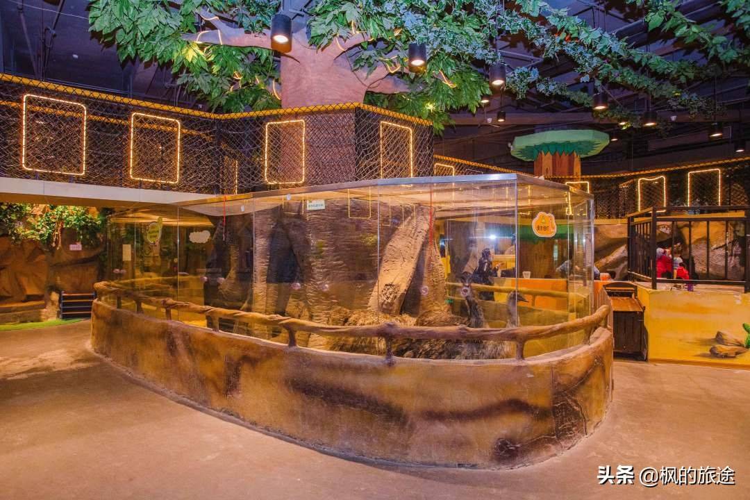 原创深圳宝安最大的室内动物园与萌宠零距离接触在城市亲近大自然