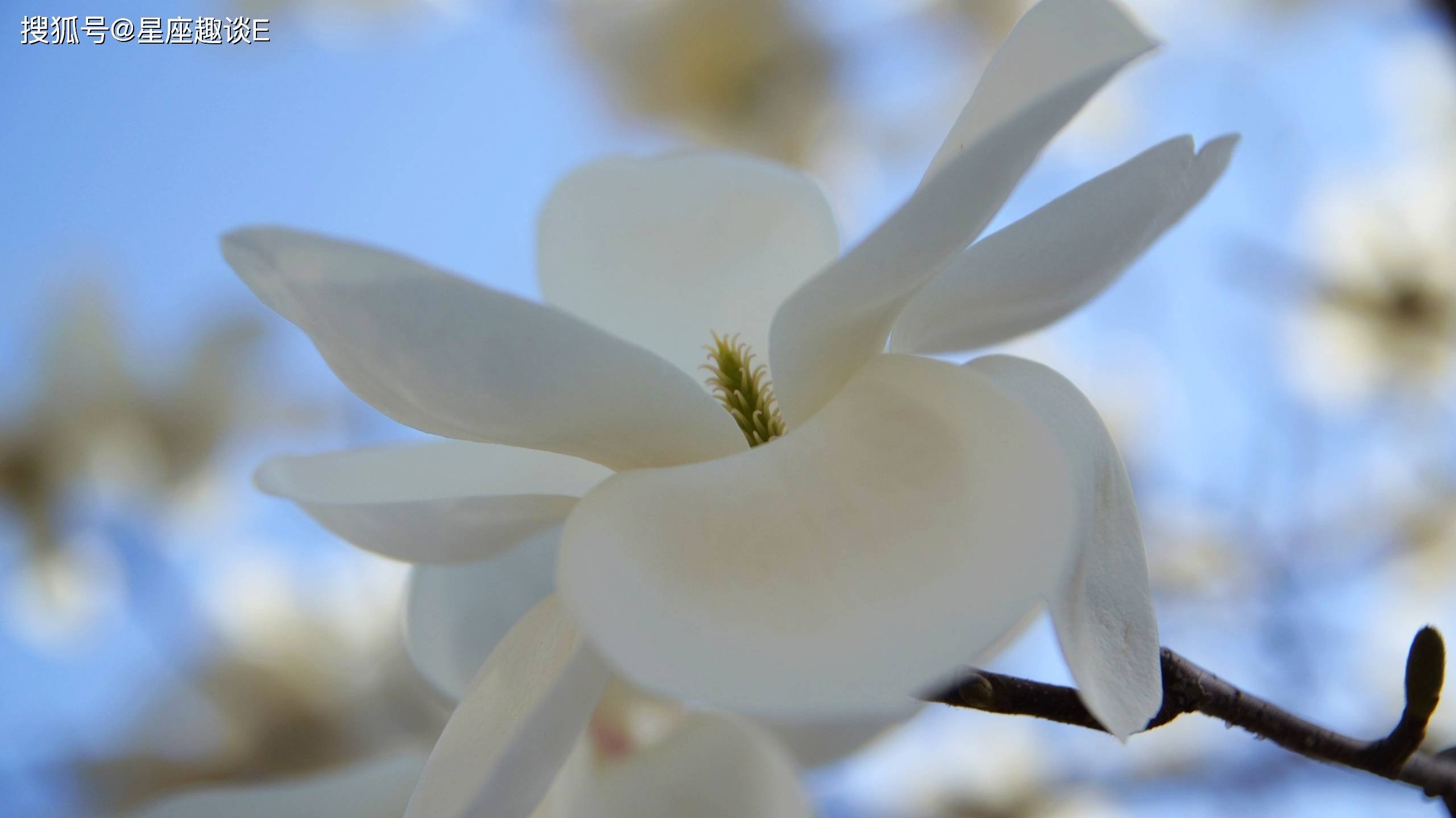 6月日 30日爱情运势 不再孤单 终成眷属的四大星座 伴侣 单身 感情