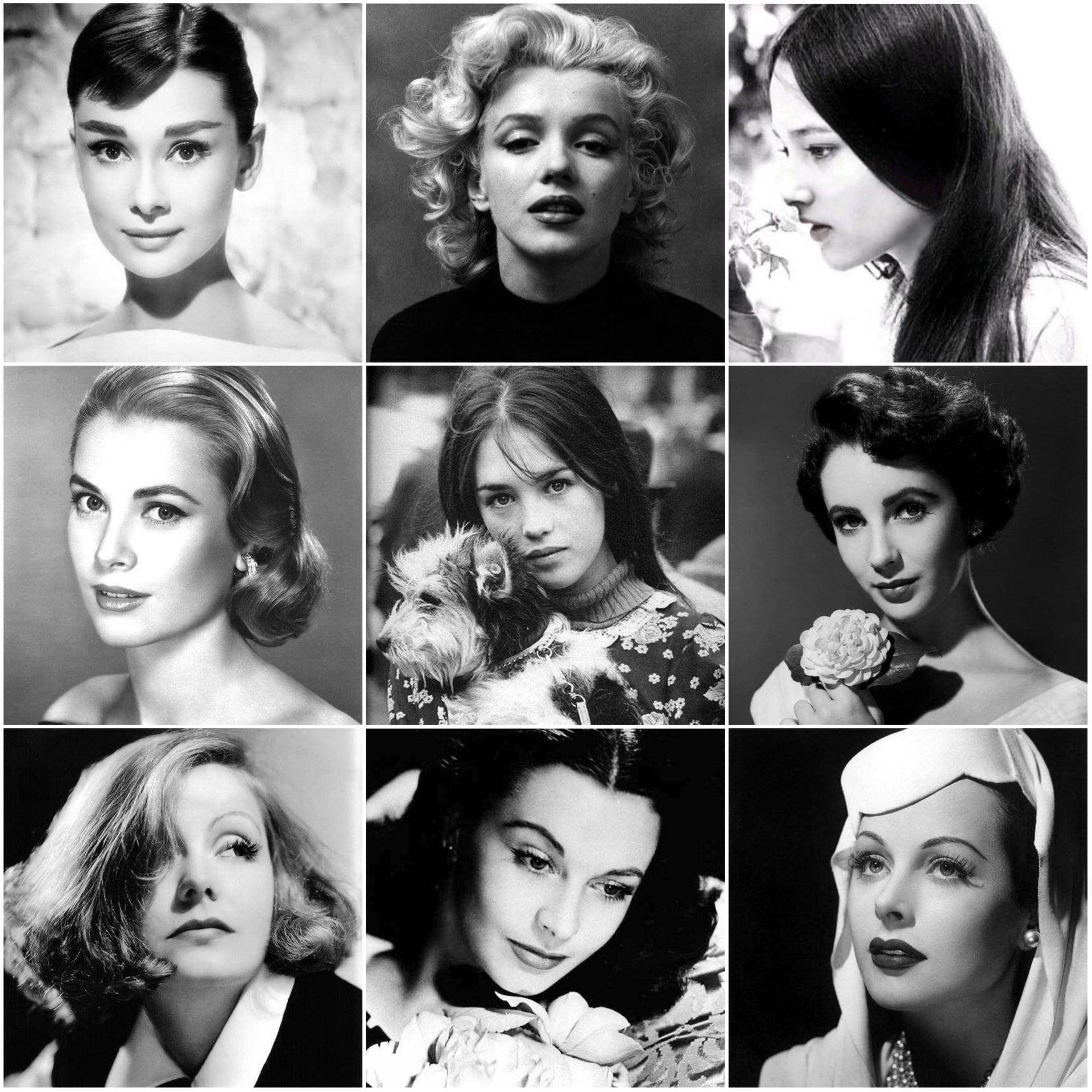 原创9位旧时光电影里的欧美女明星前两位是世纪巨星发型成为经典