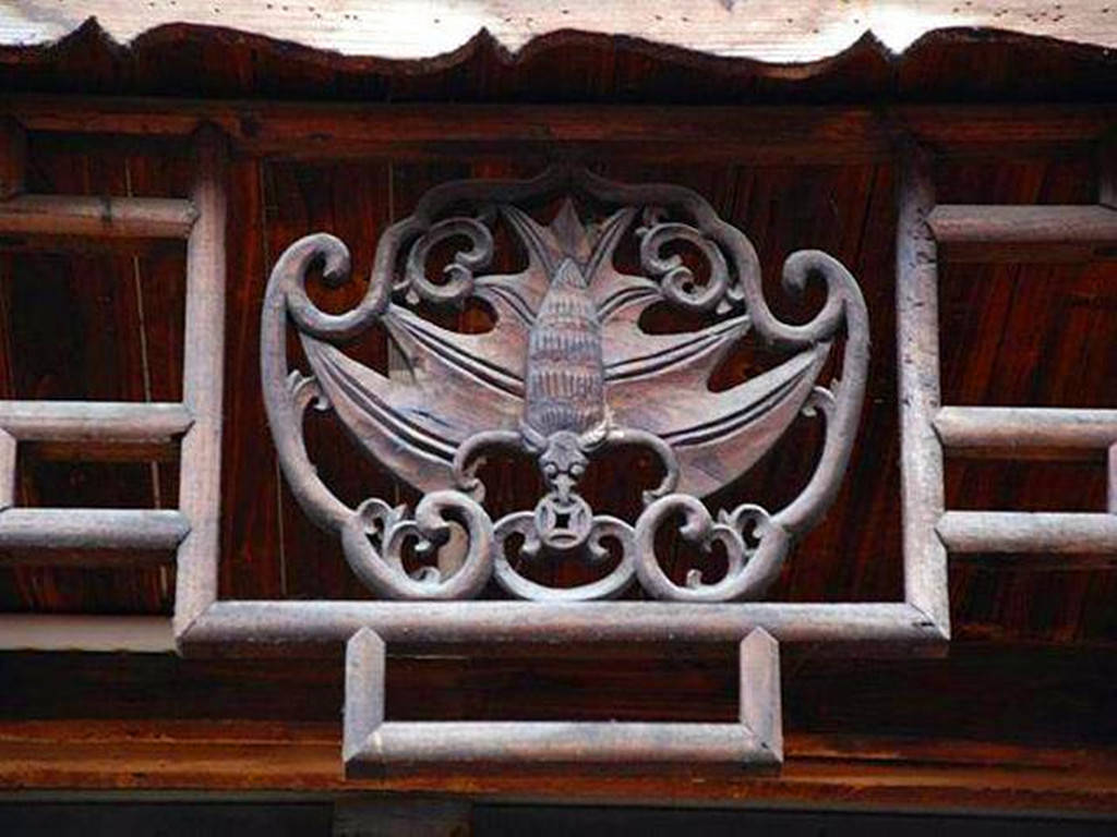 毒王”蝙蝠：为什么偏偏喜欢倒挂着睡觉，不怕脑袋充血吗？_搜狐网, image size:1024x768