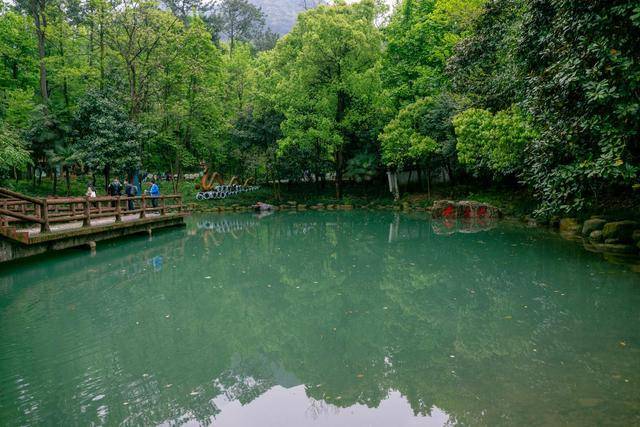 奇山异水，天下独绝！浙江一公园，以山清水秀、史悠境幽闻名于世