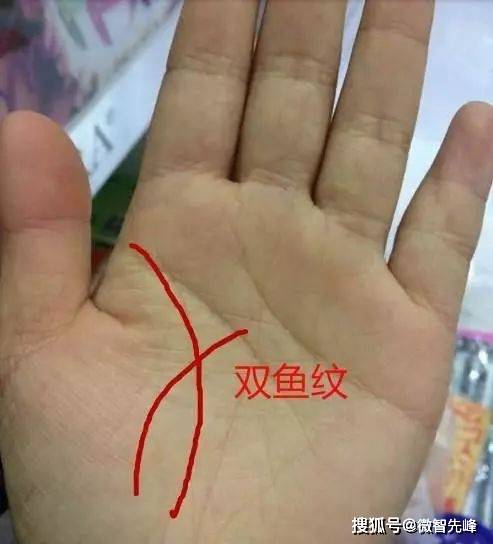 手相_元宝_智慧