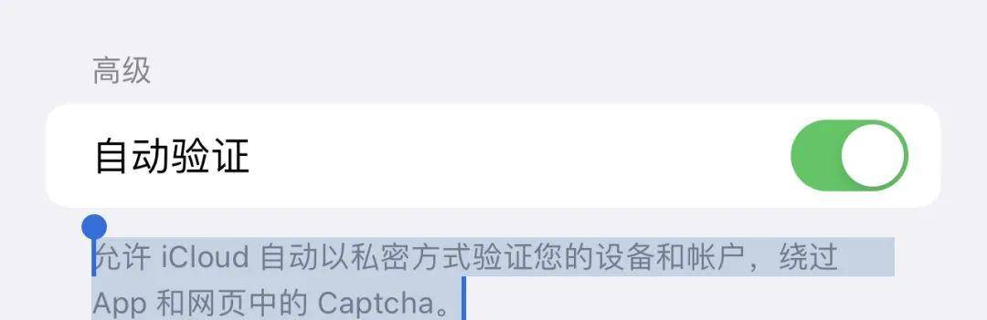 ios自动提取验证码在哪里