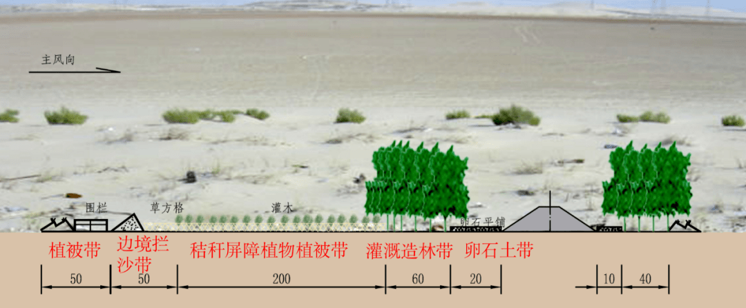 防风固沙原理图片