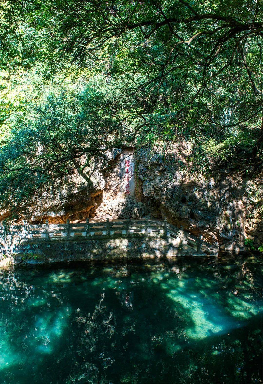 乐享云南|美景·玉溪九龙池公园_池潭_红塔区_清泉