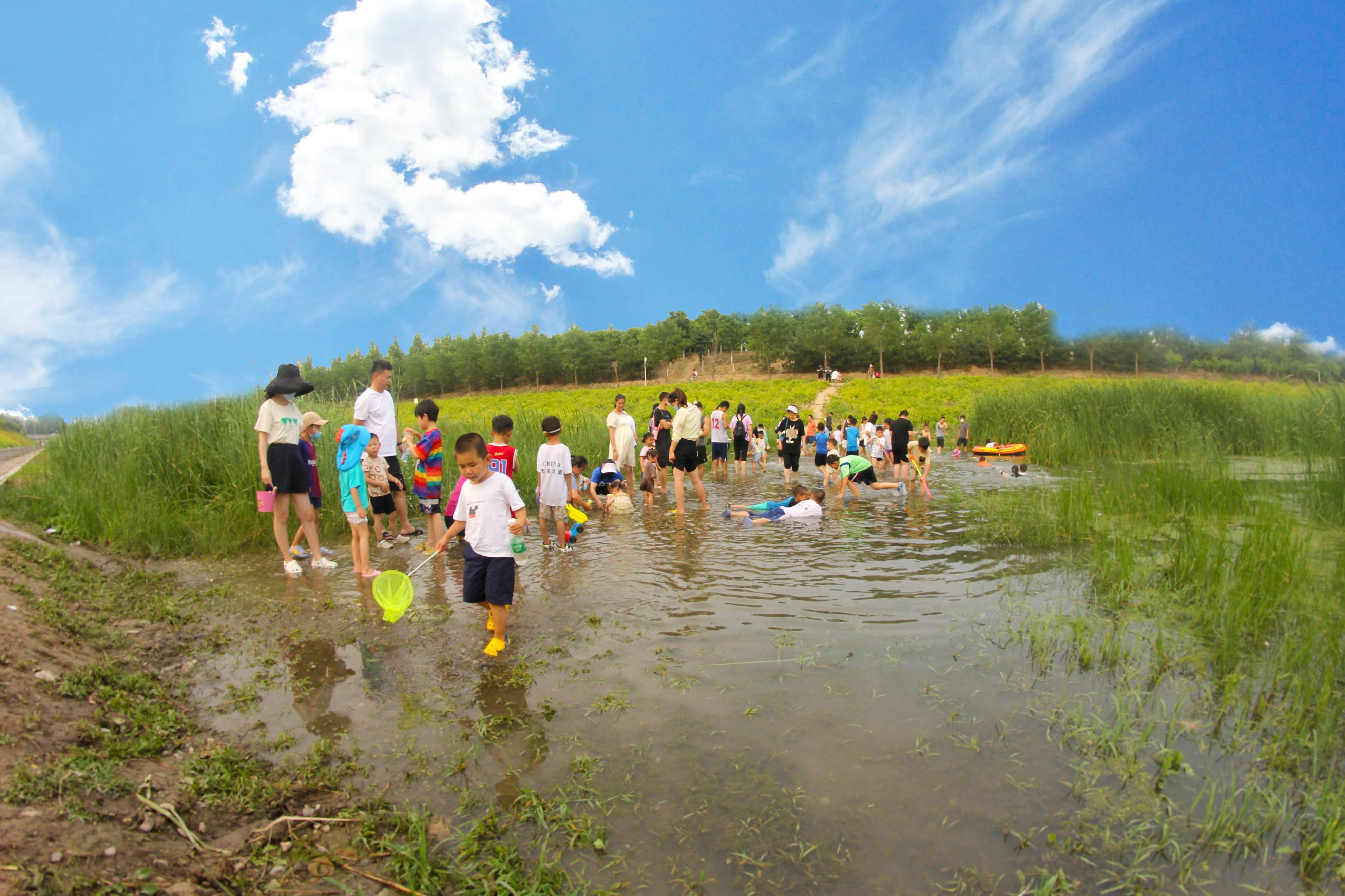 北京小众亲子游好去处,可捞鱼玩水,免费人少就在五环边_公园_敬贤