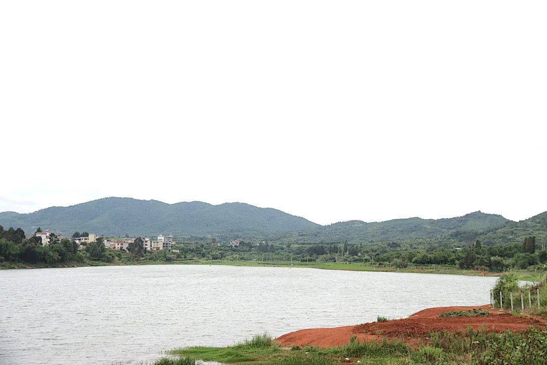 健康开跑为嵩明县牛栏江镇乡村振兴健康跑打call