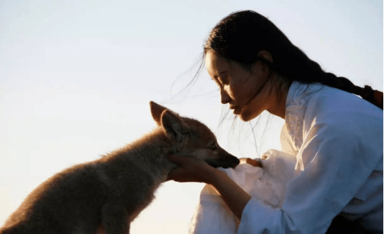 原创中国第一狼女李微漪十年前卖房救狼十年后与狼再次相逢