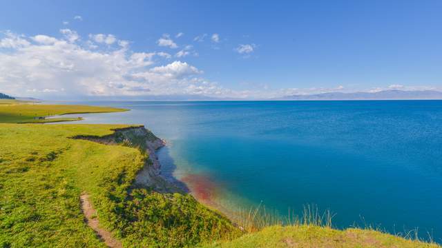 新疆赛里木湖，夏天水草丰美，绿意盎然的风景太美了