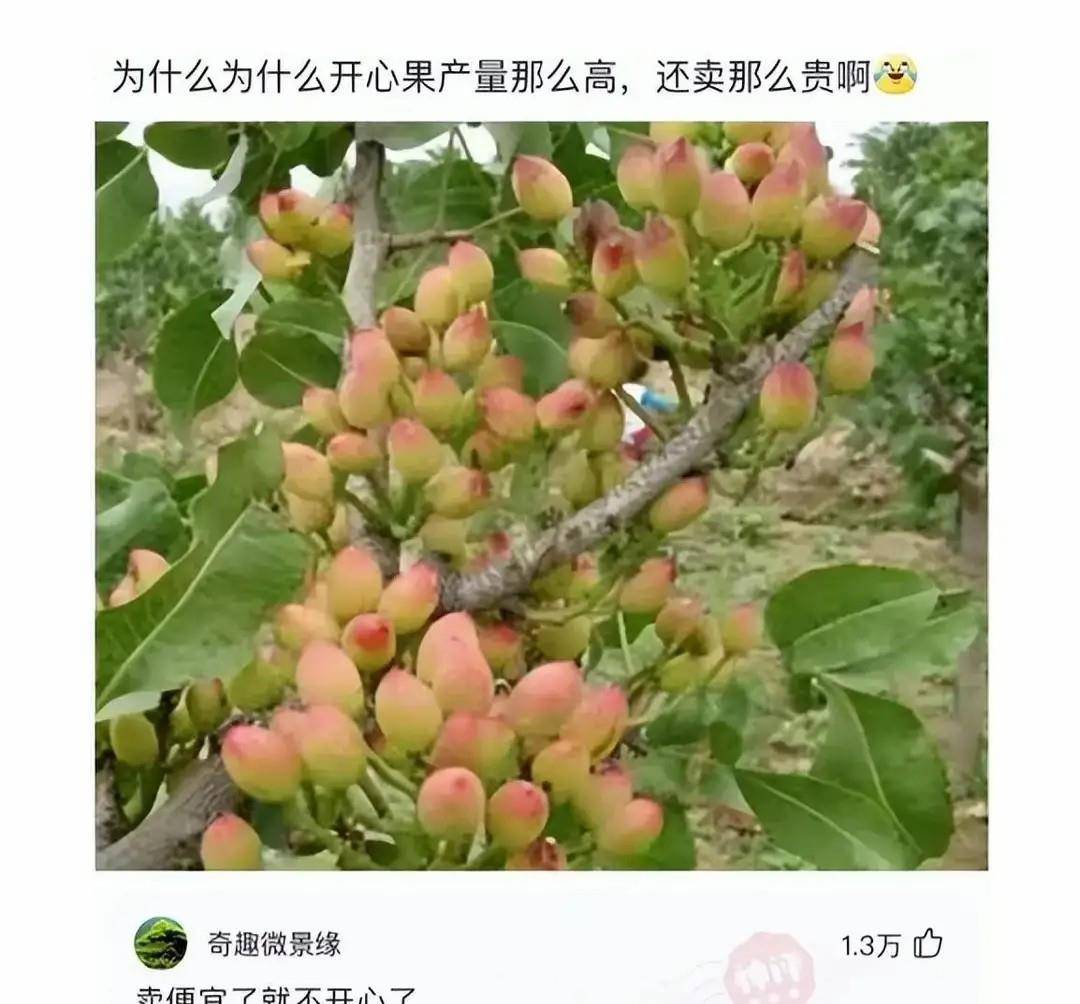 原创
马赛克可不能乱打,尤其是对女孩子来说,颜值真的太重要了啊