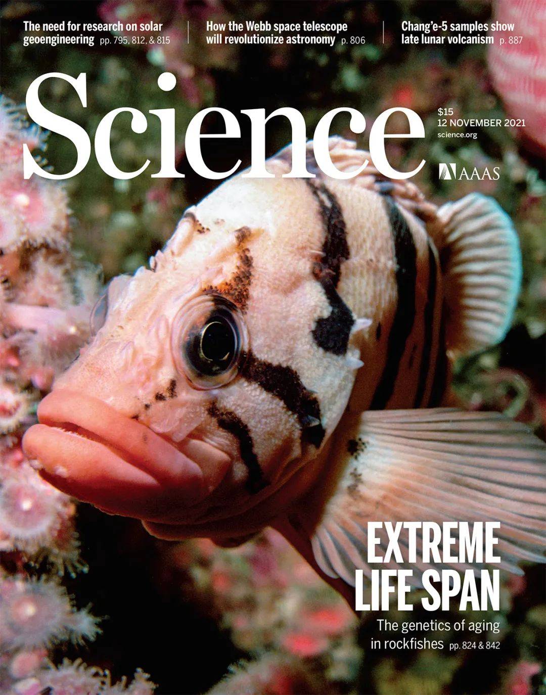 science封面长寿的奥秘科学家在深海找到了