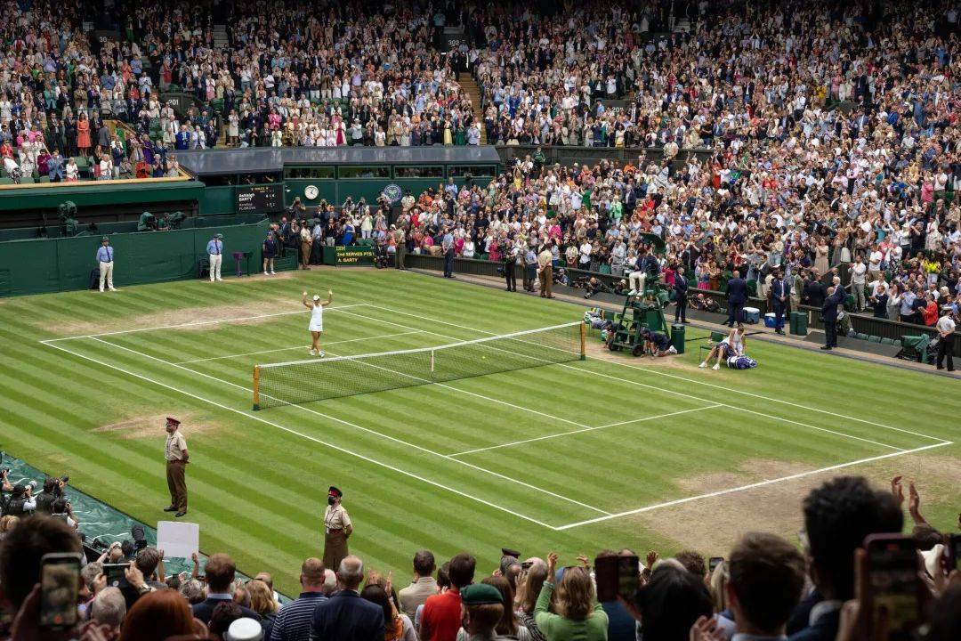 温网开赛前,聊聊草地那些事_比赛_场地_赛事