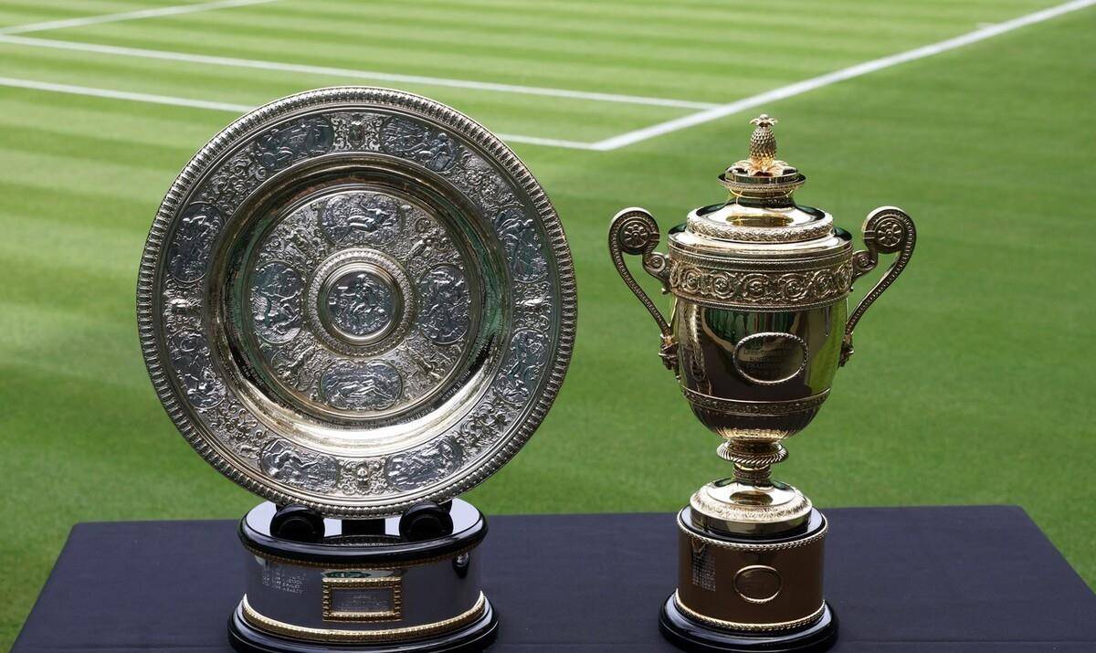 翻译温网男单8强前瞻德约vs阿尔卡拉斯纳达尔vs贝雷蒂尼