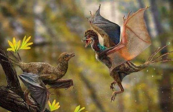 近日加拿大古生物学家发现了一种从未出现过的巨型翼龙——北风冷龙