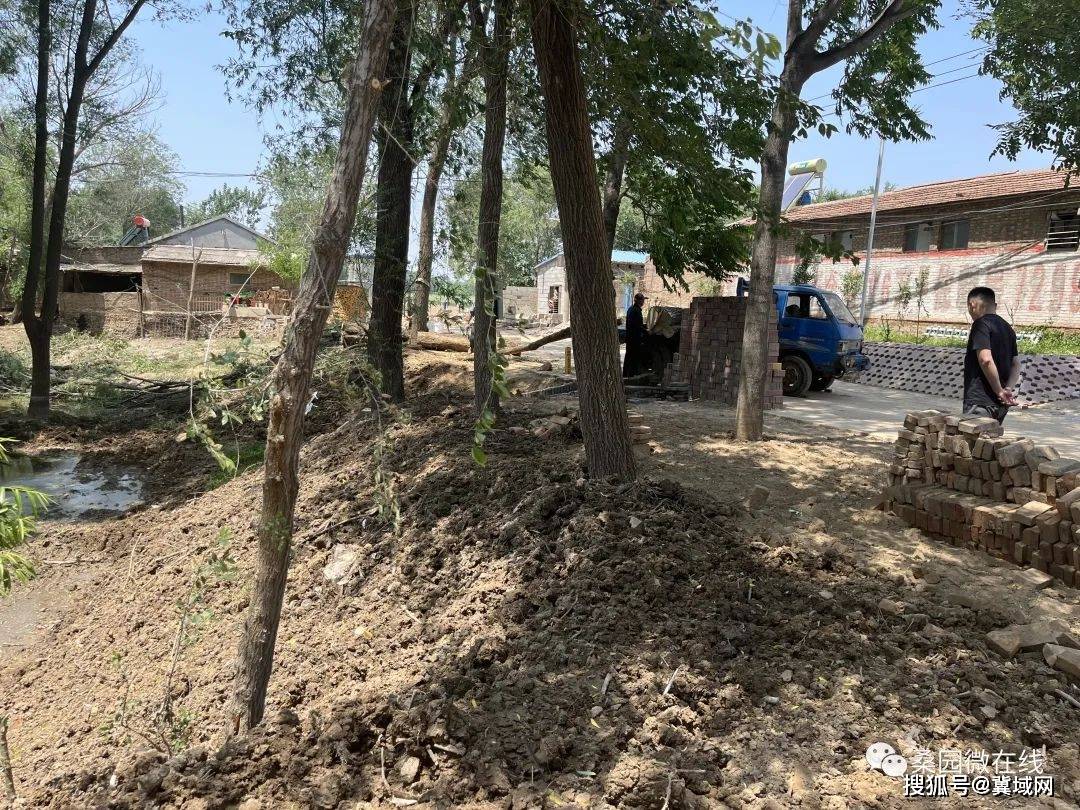 吴桥县桑园镇:干净整洁的"杨文正"_街道_买卖_人居