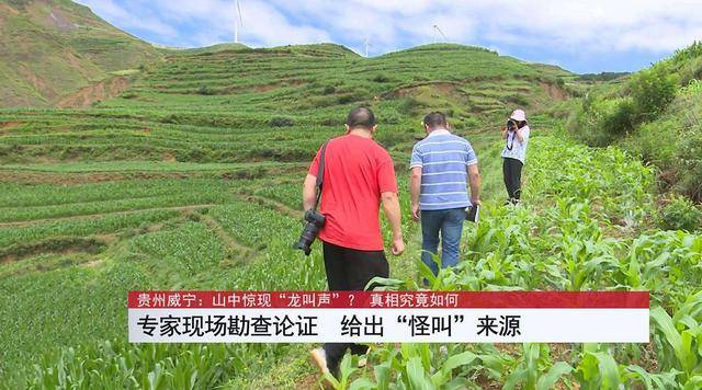 从贵州“神秘声音”为何不可能是虎啸？浅谈我国野生虎生存现状