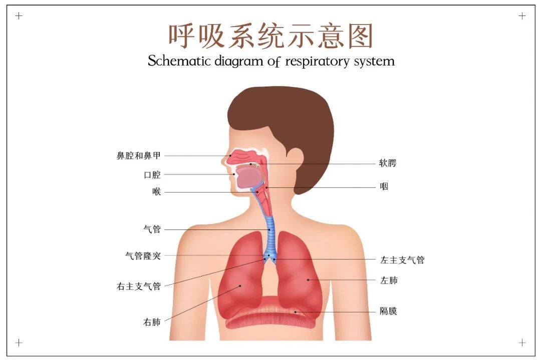 制氧机雾化器买一体的还是分开的谊安家用制氧机怎