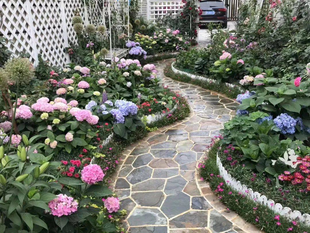 原创海妈花园拜访北方花友种花9年在海边拥有自己的玫瑰花园