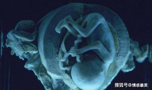 胎儿啥也不知道？4岁儿子说出胎内记忆，父母瞬间惊呆：不可思议