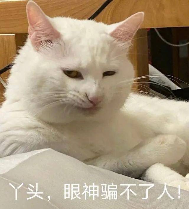 眼神嫵媚又猥瑣,高冷裡還