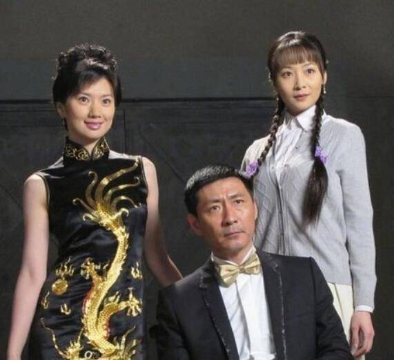 苑冉和男演员张子健合演过多部电视剧,比如《孤岛飞鹰》,《神探狄仁杰