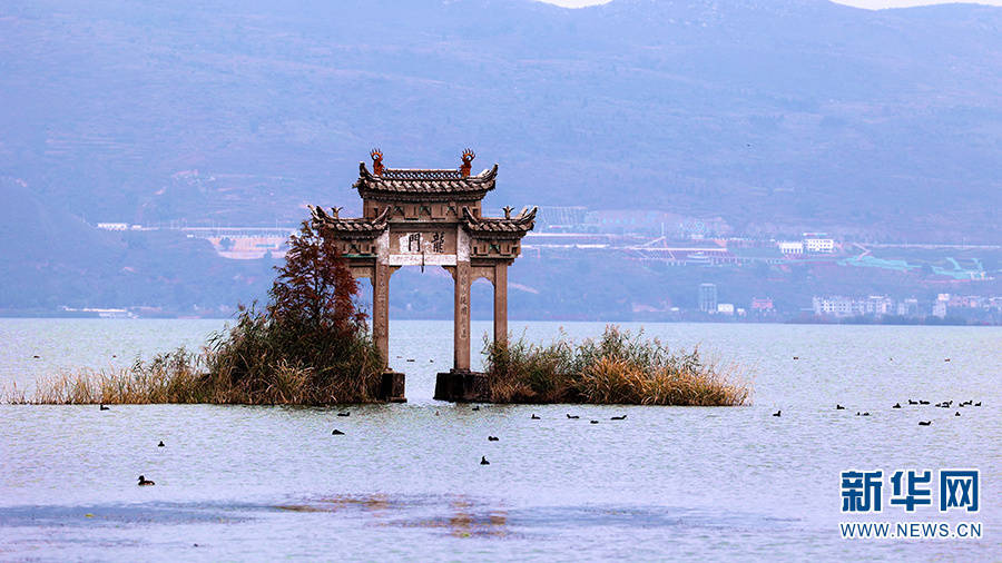 江川星云湖图片图片