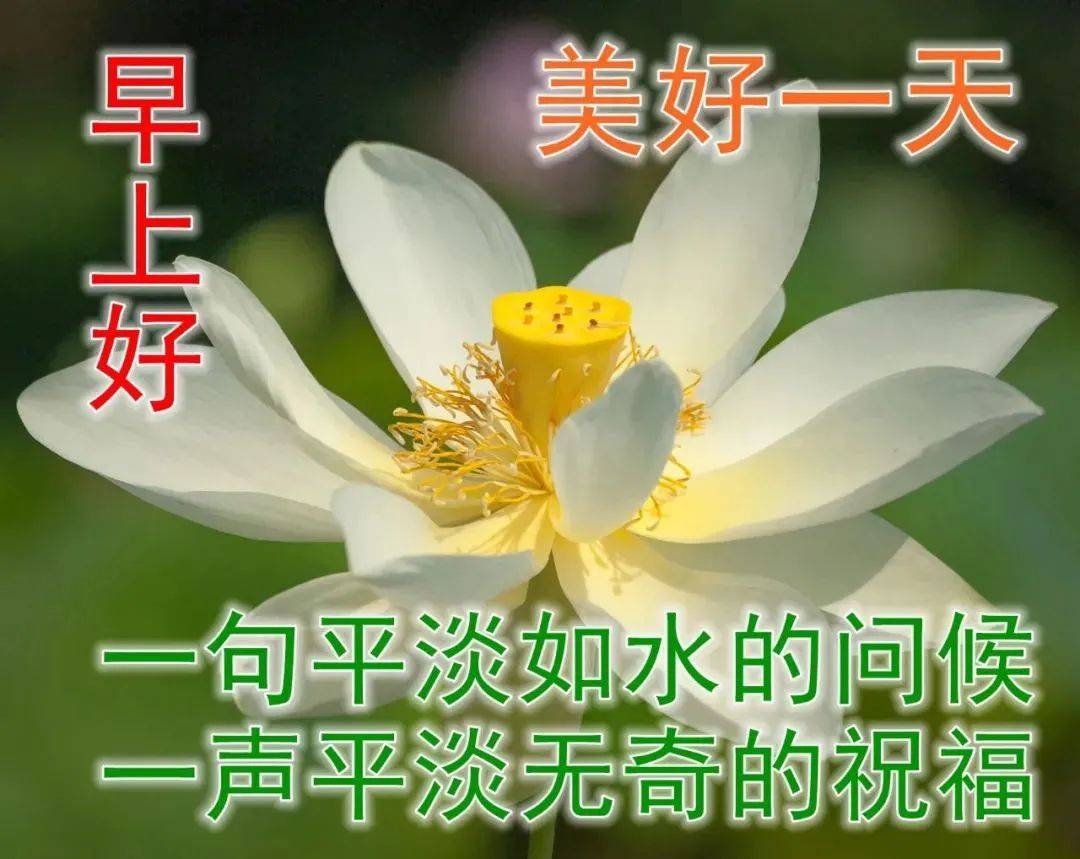 原创8张最美夏日风景早上好图片带字带祝福语好看的朋友圈早安问候