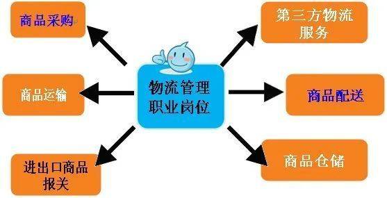 现代物流管理专业(530802)就业方向广东岭南职业技术学院(12749)现代