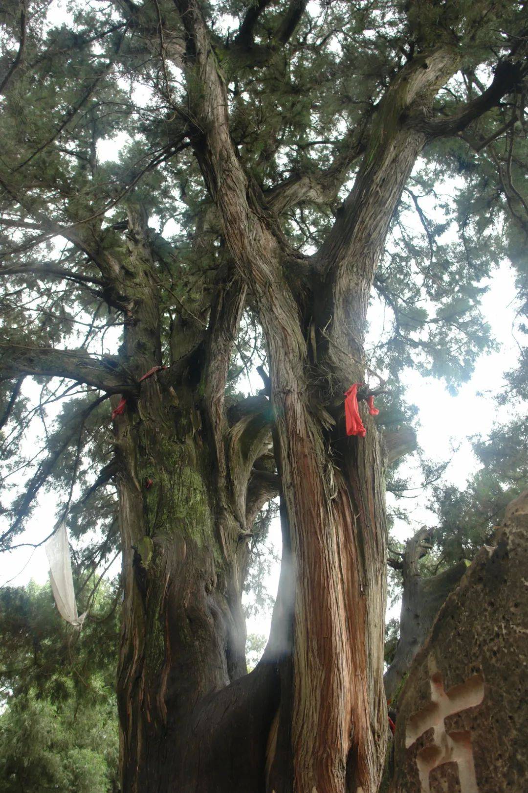 �����ǡ��Ĵ����ձ���ʮ�ģ�����1876�꣬������һ�ɵ� ...