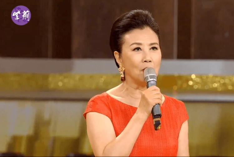 香港回归晚会落幕!刘德华老了、陈伟霆脸胖