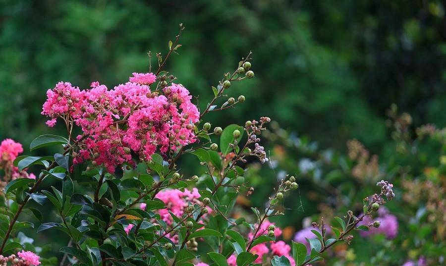6月28日星座日运 白羊运势不赖 天蝎稳步向上 处女座四平八稳 生活 建议 方面
