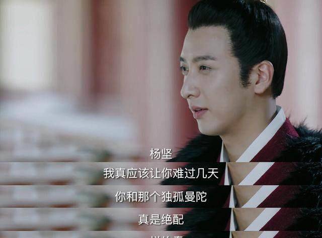 般若终领盒饭,太师痛晕,官方都吐槽杨坚傻,宇文邕痴情成白月光_双商