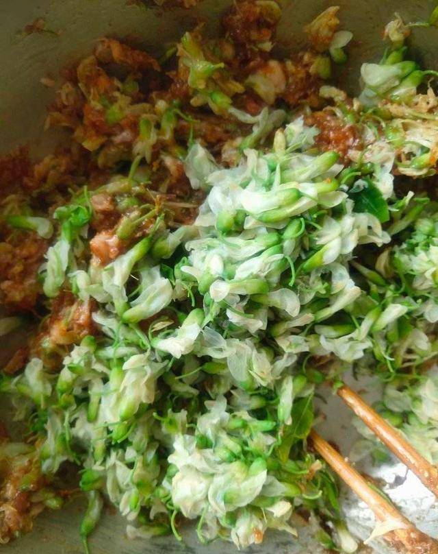 原创壹粉食堂满屋飘香槐花水饺来啦这样调馅清香可口想尝尝吗