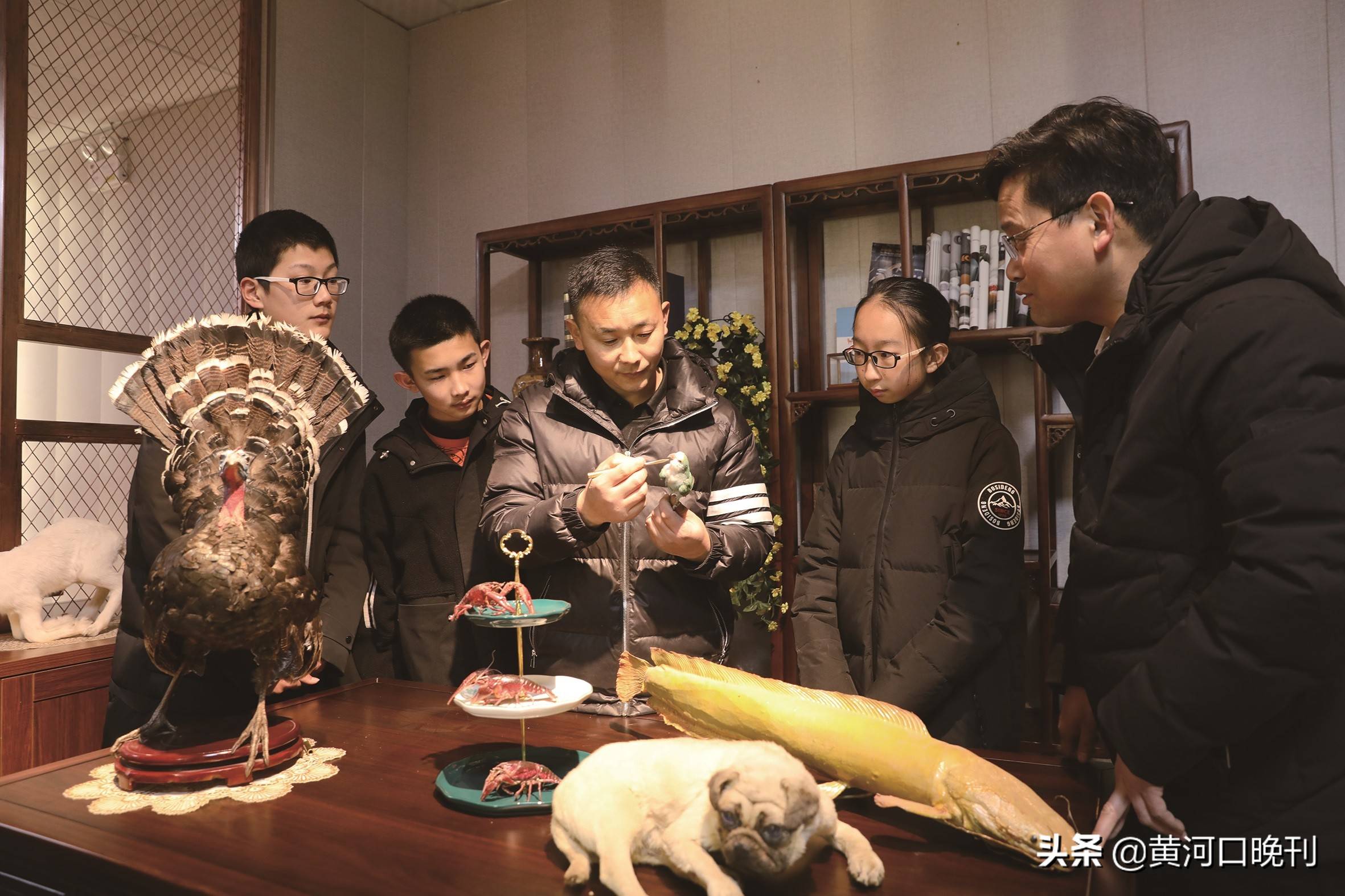 80后标本师"复活"2千余只动物_师董涛_技术_主人